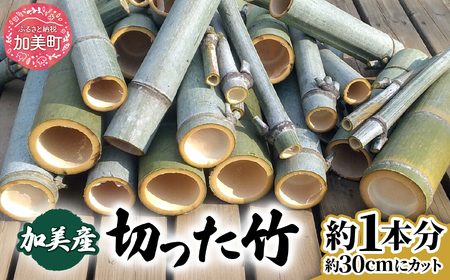 竹 モウソウチク 北限の竹 自然素材 国産 切りたて 新鮮 香り高い 加工 工作 インテリア DIY 園芸 クラフト [ やってみっか奔舎 宮城県 加美町 ] ym-tk01