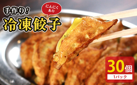 冷凍餃子 にんにくあり 30個 餃子