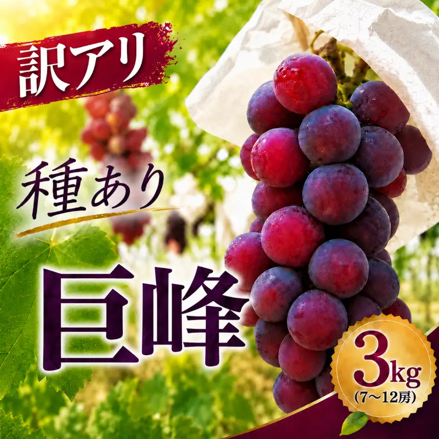 種あり 巨峰 ブドウ (訳あり) 約3kg (約7～12房)  | ぶどう 果物 フルーツ 果実 訳あり 家庭用 産地直送 大分県産 九州産 大分県 中津市