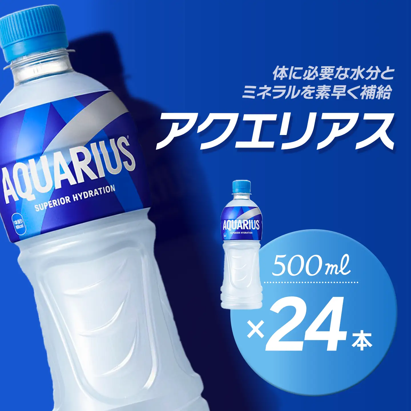 アクエリアス 500mlPET_24本入り×1ケース｜ スポーツドリンク 水分補給