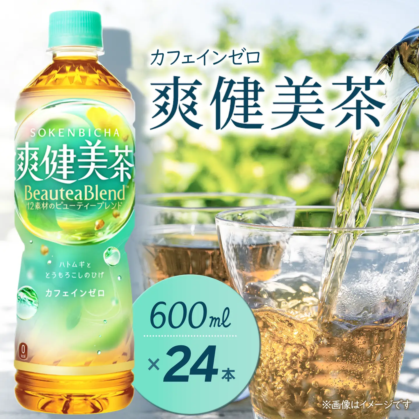 爽健美茶 600mlPET_24本入り×1ケース｜ 無糖茶 カフェインゼロ