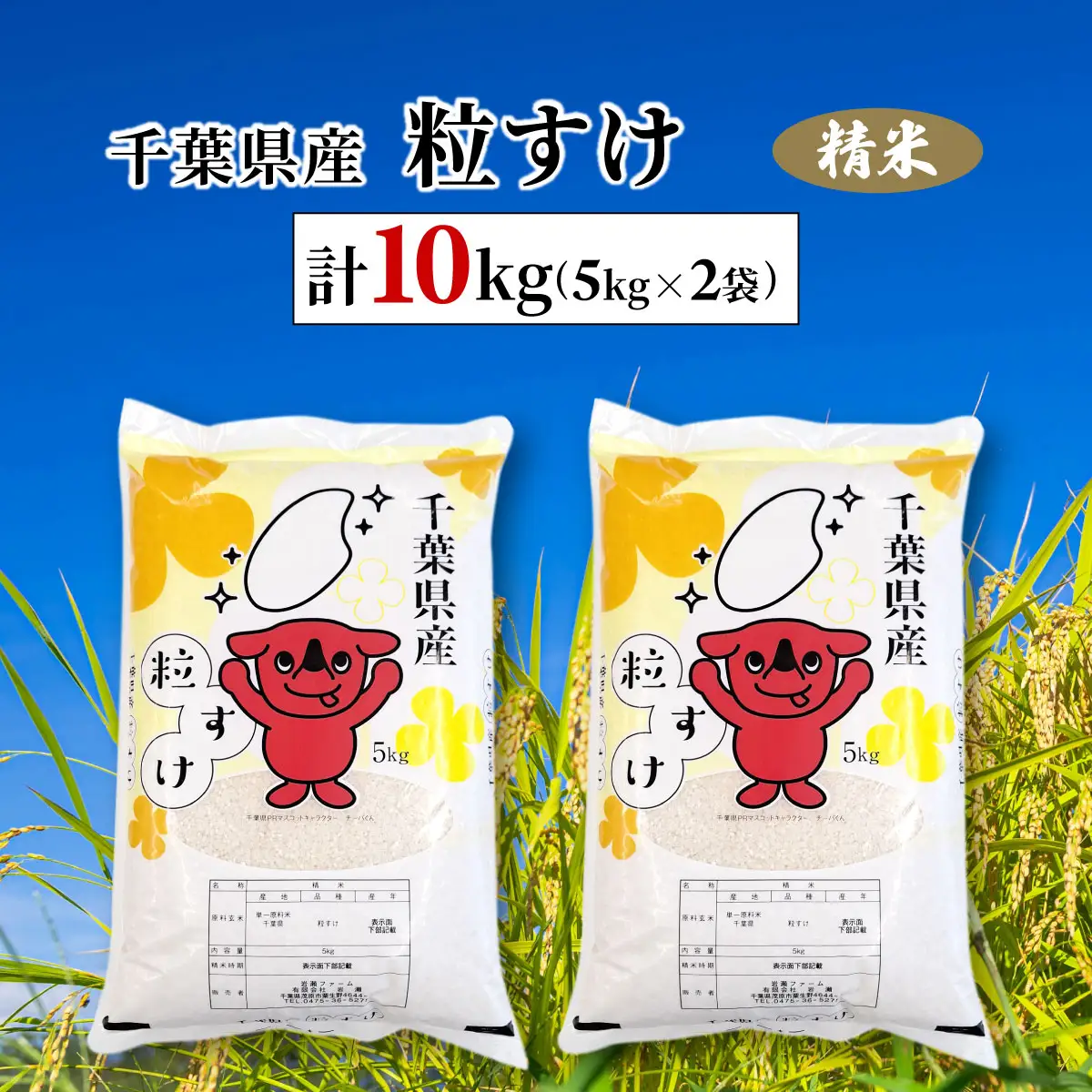 令和7年産　千葉県産粒すけ 精米 10kg(5kg×2袋) MBAD007