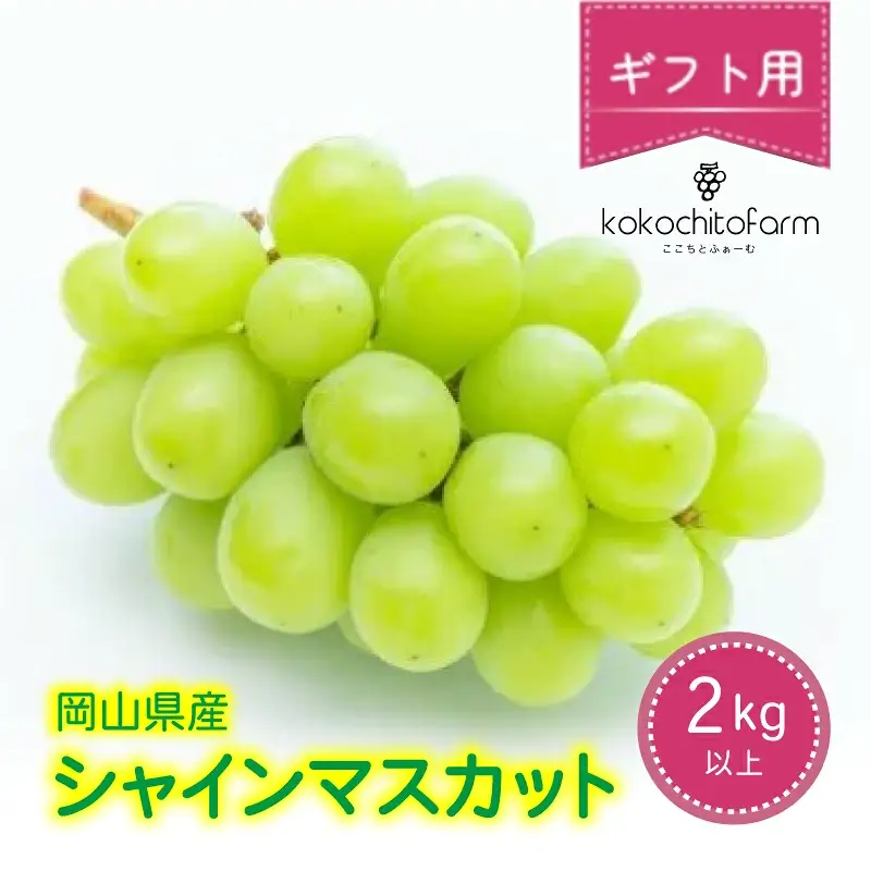 【2026年先行予約】 ここちとふぁーむ 【ギフト】 岡山県産 シャインマスカット 3～5房 2kg以上 【koko004-02】