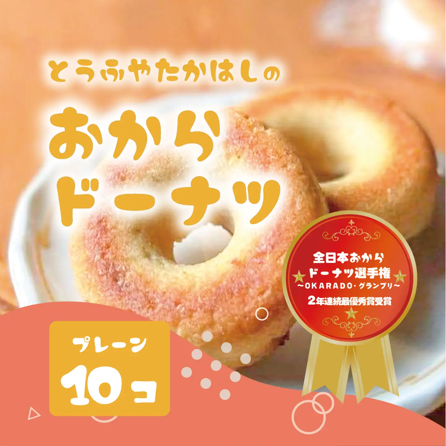 とうふやたかはし 日本一のおからドーナツ【10個セット】 [DE002ya]