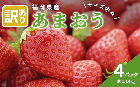 訳あり いちご 2027年2月中旬より発送 あまおう サイズ色々 4パック 約1.14kg 果物 フルーツ 福岡県産あまおう ※配送不可：離島