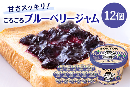 ソントン ファミリーカップ ごろごろブルーベリージャム 130g×12個入 G13-002