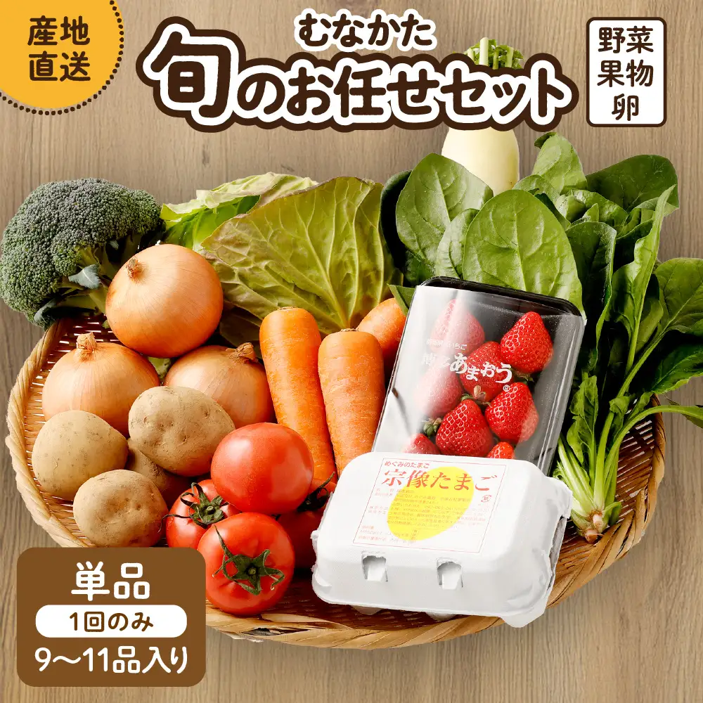 むなかた旬のお任せセット（野菜・フルーツ・卵） 9～11品【JAほたるの里】_HA1712
