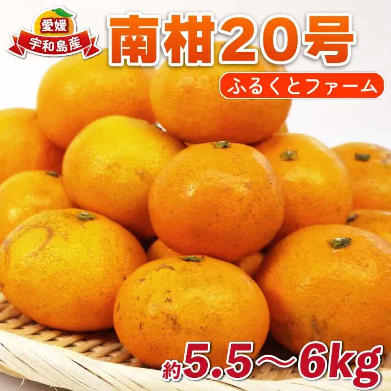 南柑20号 5.5kg ～ 6kg サイズミックス ふるくとファーム  かなこちゃんち 温州みかん 温州みかん B015-037009