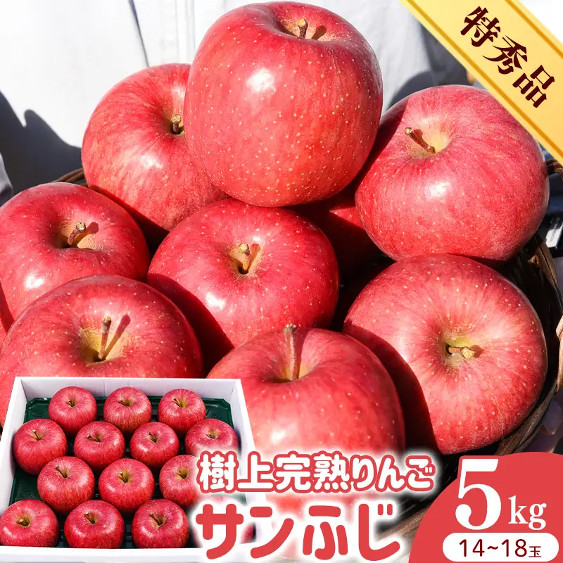 令和8年産 樹上完熟りんご サンふじ 特秀品 5kg（14 - 18玉） 2026年産 山形県産【2026年12月上旬頃から下旬頃発送予定】　032-B-HK010