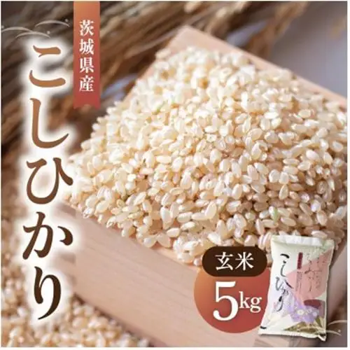 令和8年産 新米 コシヒカリ 玄米 5kg | こしひかり お米 茨城県かすみがうら市産_玄米 茨城県産 こしひかり 5kg_【1630960】