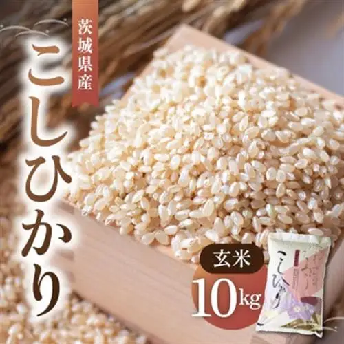 令和8年産 新米 コシヒカリ 玄米 10kg | こしひかり お米 おこめ 茨城県産_玄米 茨城県産 こしひかり 10kg_【1630961】