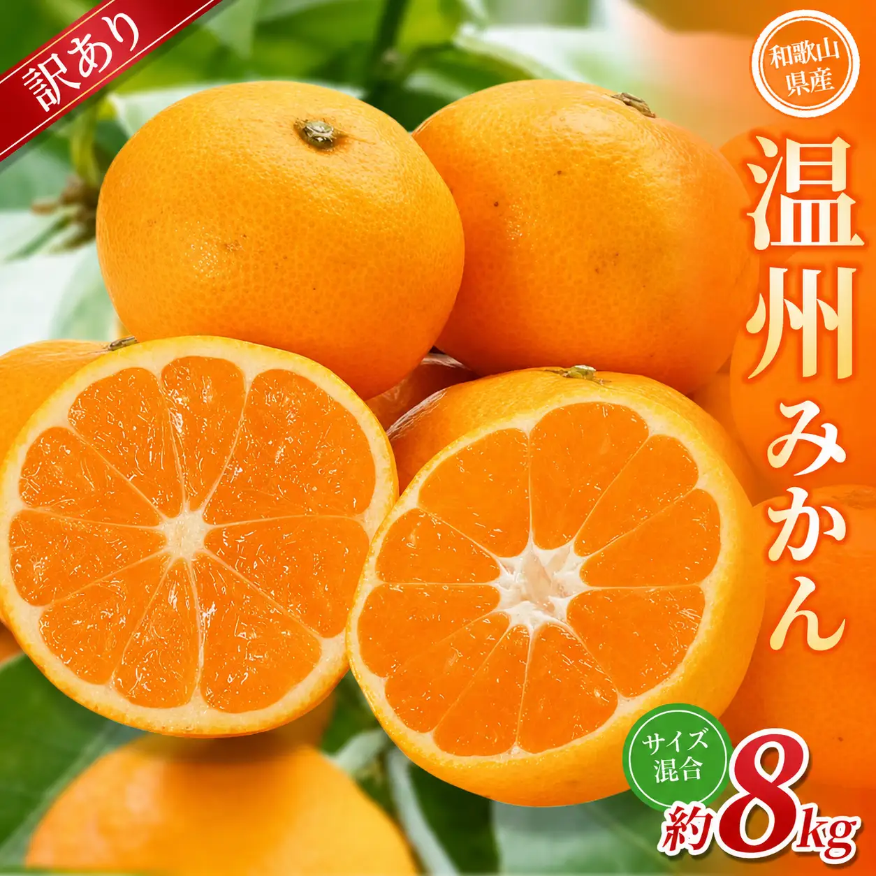 みかん【訳あり】 森本農園 約8kg 【2026年10月中旬～2027年2月中旬ごろに順次発送】【BV-mrmt043】