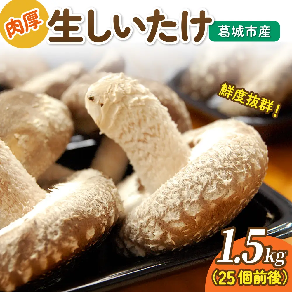 しいたけ 葛城市産生しいたけ（1.5kg） 25個前後【kobo005】
