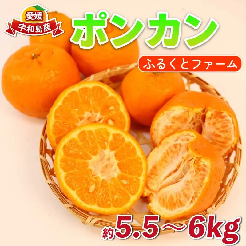 ポンカン 約5.5kg ～ 6kg ふるくとファーム かなこちゃん 先行予約 ポンカン B015-037010