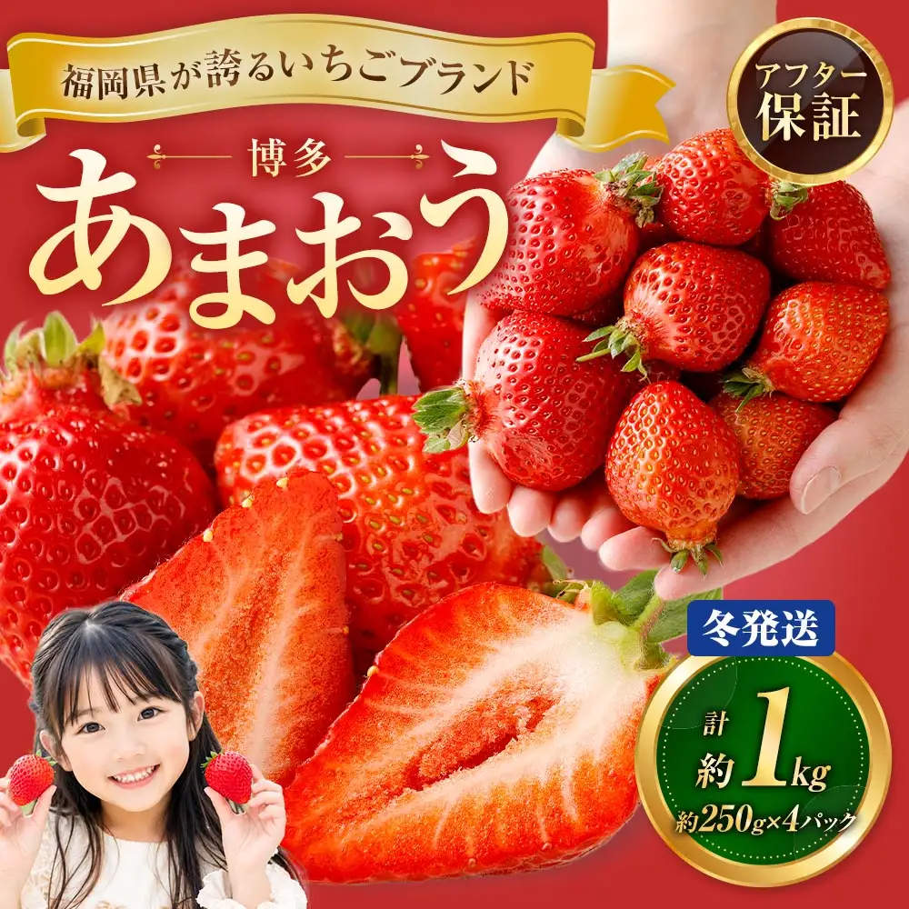 博多 あまおう 4パック（冬）【2026年12月上旬～2027年1月下旬発送予定】