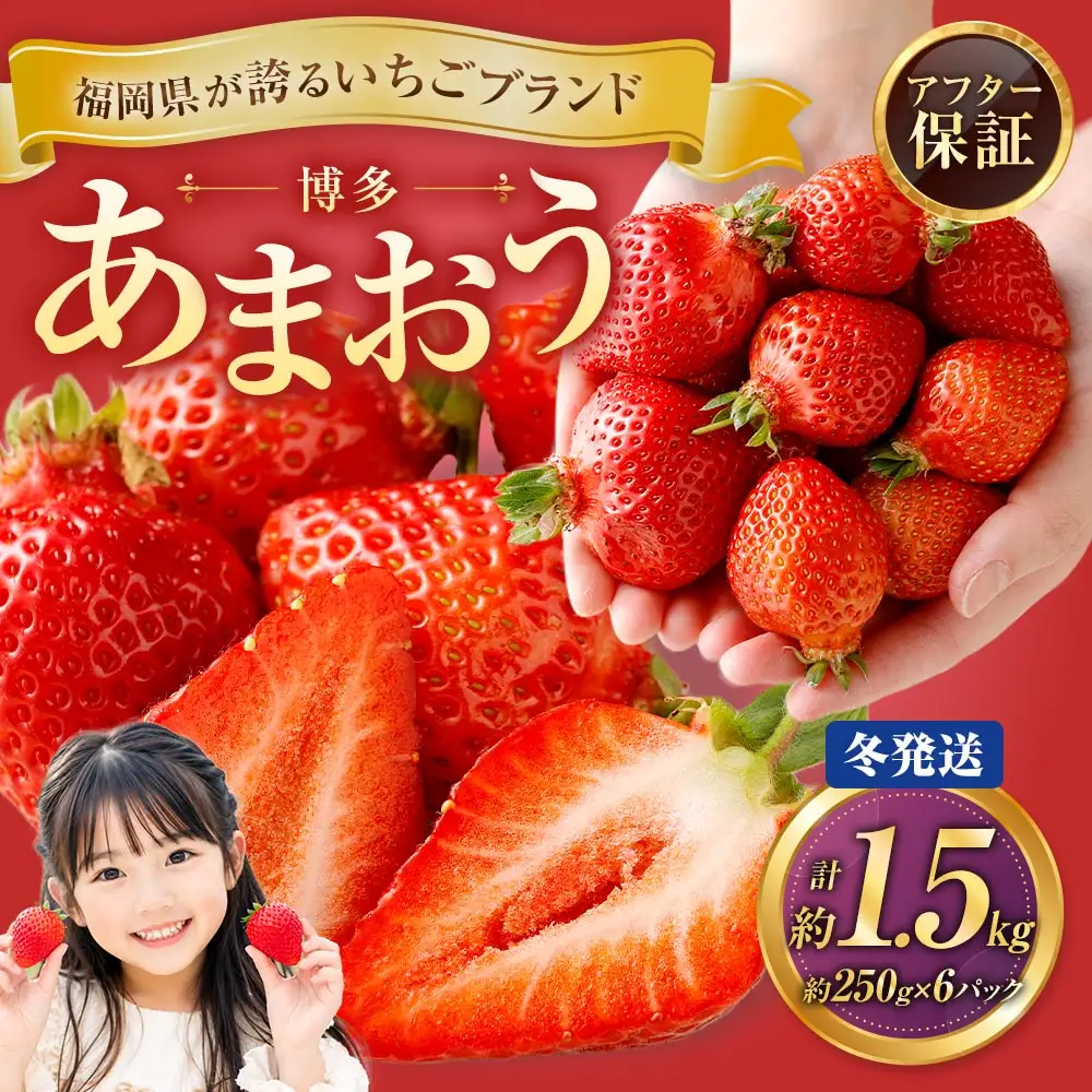 博多 あまおう 6パック（冬）【2026年12月上旬～2027年1月下旬発送予定】