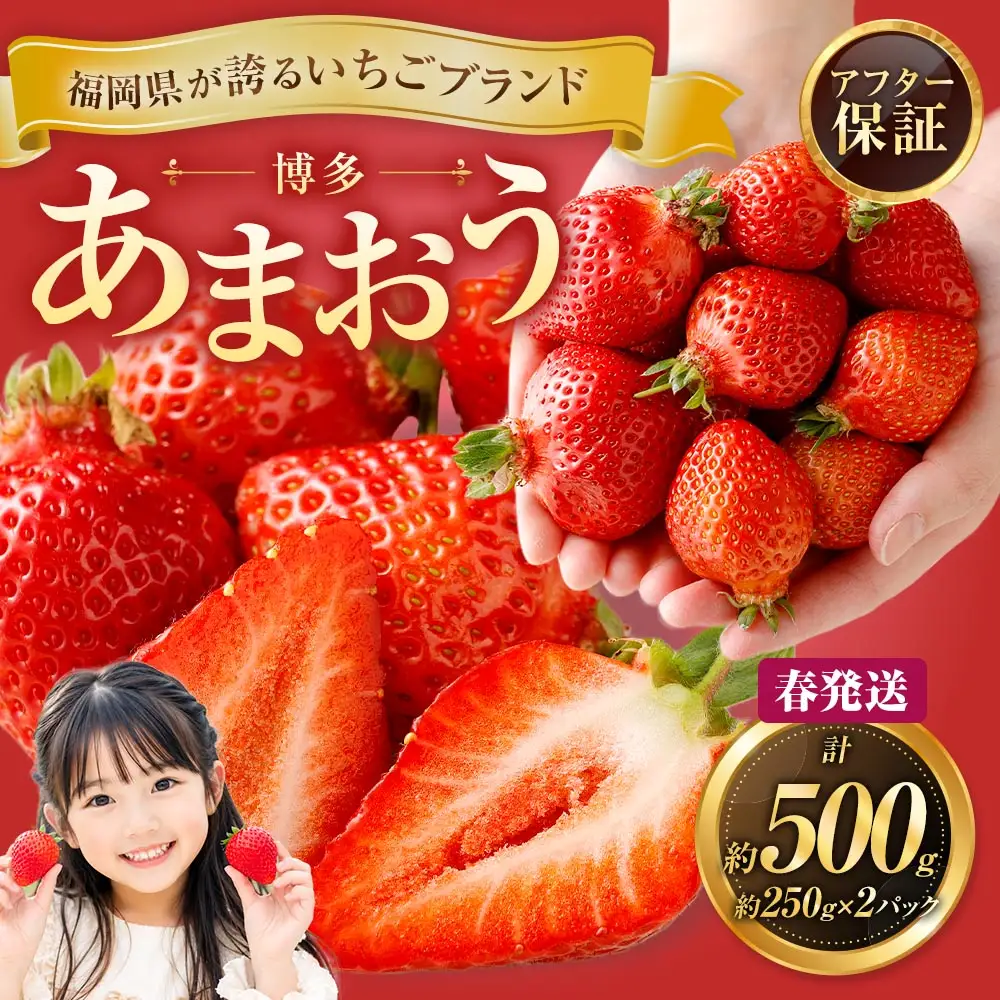 博多 あまおう 2パック（春）【2027年2月上旬～2027年4月下旬発送予定】
