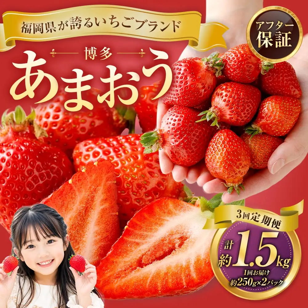 【3回定期便】博多 あまおう 2パック【2027年2月上旬～2027年4月下旬発送予定】