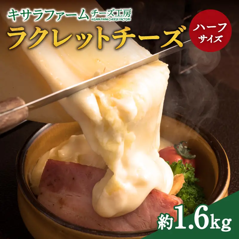キサラファームチーズ工房のラクレット チーズハーフサイズ ！ 【ドリア グラタン パンに乗せて！食べ方様々、ラクレット約1.6㎏をお届け 乳製品 カルボナーラ フランスパン パスタ グラタン ドリア おつまみ お取り寄せ 北海道 清水町】_S002-0005
