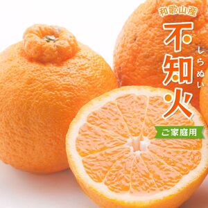 不知火 家庭用 7.5kg+250g（痛み補償分）/ みかん 訳あり しらぬい 光センサー 選別 デコポン 柑橘 晩柑 和歌山 甘い 18000円 / ※2027年2月上旬～4月上旬ごろに順次発送予定 ※北海道・沖縄・離島への配送不可 【ikd010-c-7d5C】