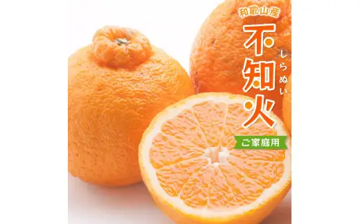 不知火 家庭用 10kg+250g（痛み補償分）/ みかん 訳あり しらぬい 光センサー 選別 デコポン 柑橘 晩柑 和歌山 甘い 24000円 / ※2027年2月上旬～4月上旬ごろに順次発送予定 ※北海道・沖縄・離島への配送不可 【ikd010-c-10C】