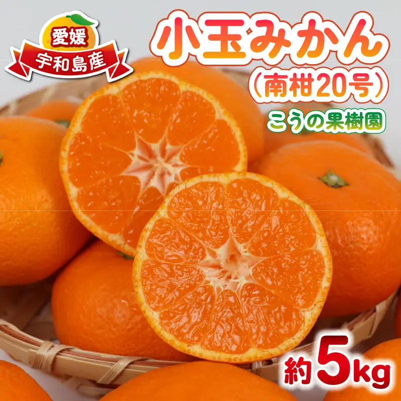 小玉みかん 南柑20号 みかん 5kg 2S~S サイズ こうの果樹園 先行予約 温州みかん 温州 愛媛みかん 愛媛蜜柑 愛媛ミカン うんしゅう みかん ミカン 蜜柑 mikan 果物 フルーツ 柑橘 甘い 甘味 蜜柑 産地直送 農家直送 数量限定 国産 愛媛 宇和島 B010-182003