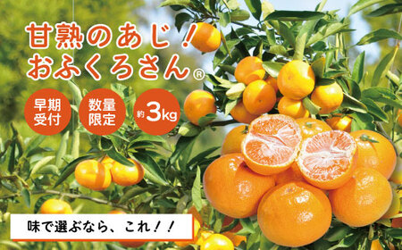 【早期受付・数量限定】農家直送！四万十みかん《おふくろさん》3kg 家庭用 予約 早期受付 数量限定 家庭用 旬 温州 温州みかん みかん 蜜柑 ミカン フルーツ 果物 くだもの 四万十市 四万十 しまんと【2026年11月中旬より順次配送】39210-160-0007