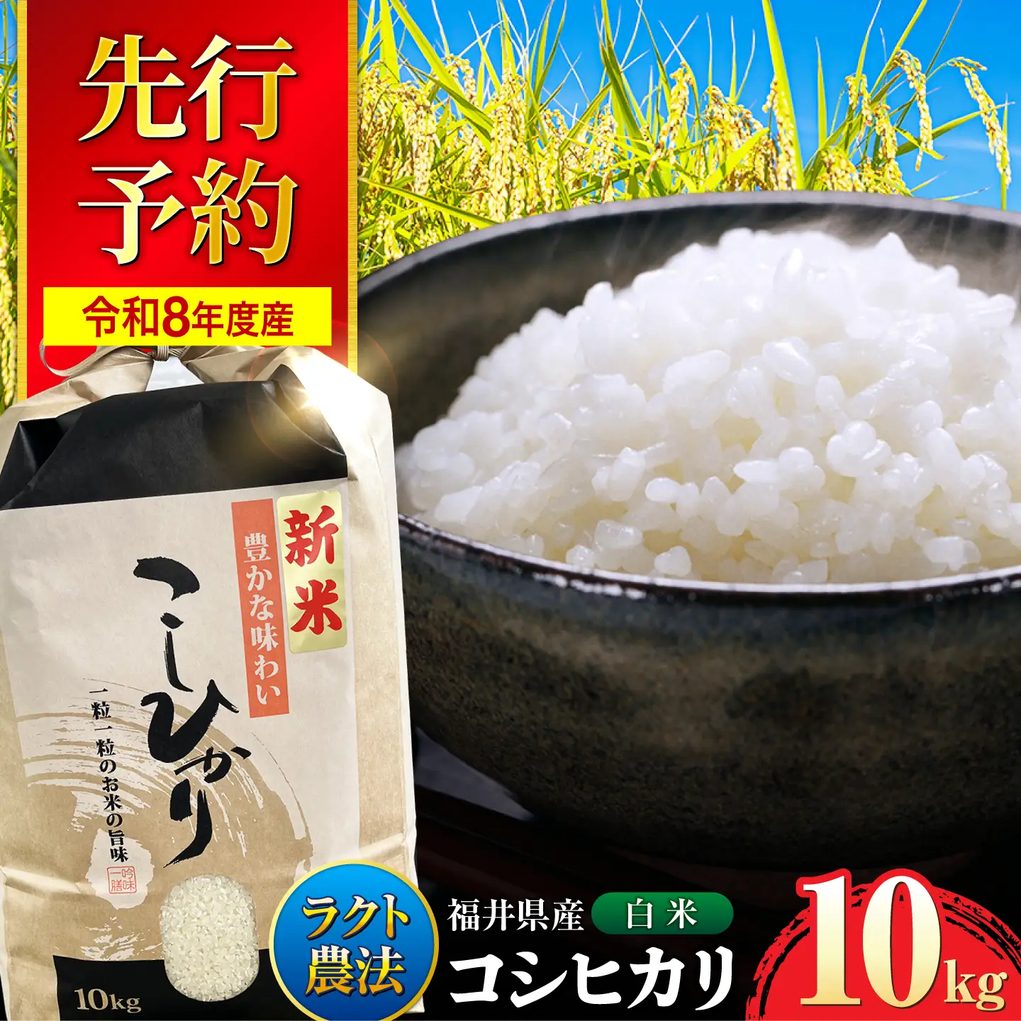 【令和8年産 新米】【 先行予約 /9月中旬から発送】　福井県産 ラクト農法 コシヒカリ 白米 10kg / 米 お米 精米 国産米   / 小浜市 / 北川博司 [BFDG006]
