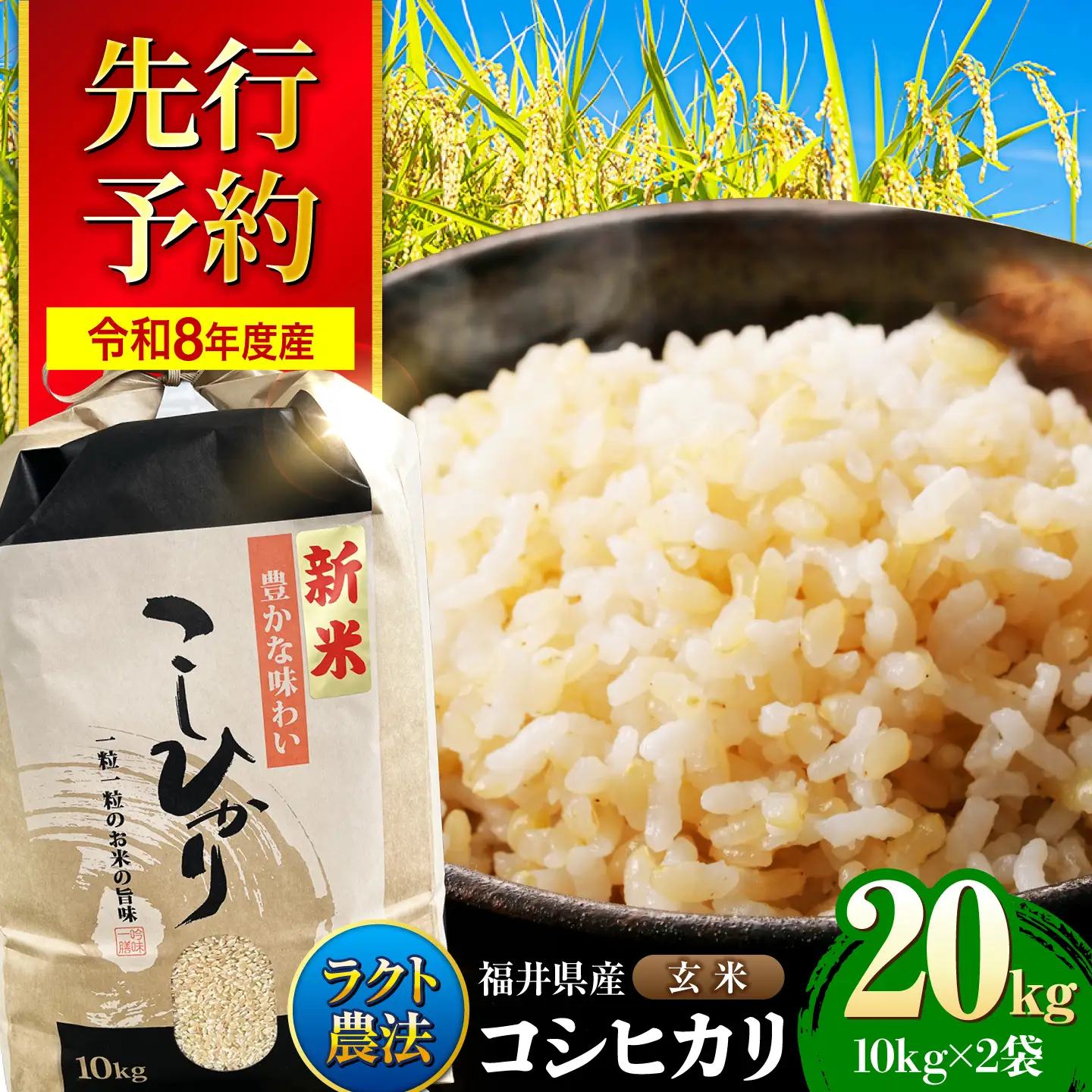 【令和8年産 新米】 【 先行予約 /9月中旬から発送】　福井県産 ラクト農法 コシヒカリ 玄米 10kg×2 （20kg）/ 米 お米 精米 国産米 /  小浜市 / 北川博司 [BFDG007]