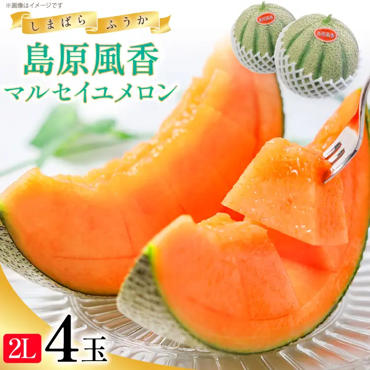 CD203【令和9年度出荷分】マルセイユメロン～島原風香～（2L×4玉）