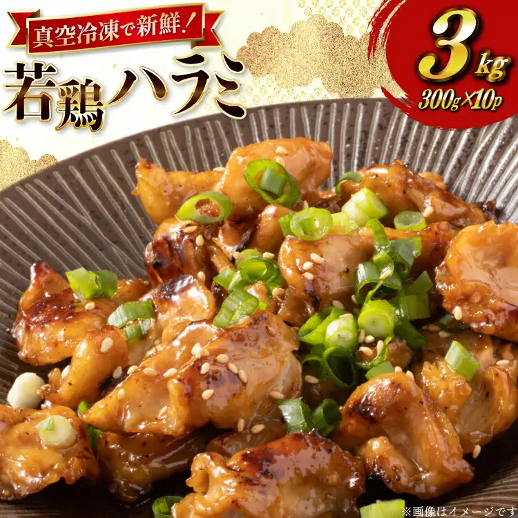 鶏肉 はらみ 宮崎県産 若鶏 ハラミ 300g 10p 計 3kg セット