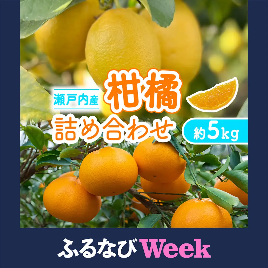 【ふるなびWEEK対象】 文田農園 の 柑橘 詰め合わせ 約5kg 7~8種 【2027年2月中旬発送開始】 
