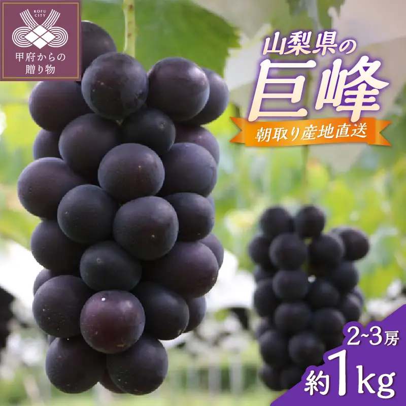 甲府市産　巨峰　約1.0kg（2～3房）
