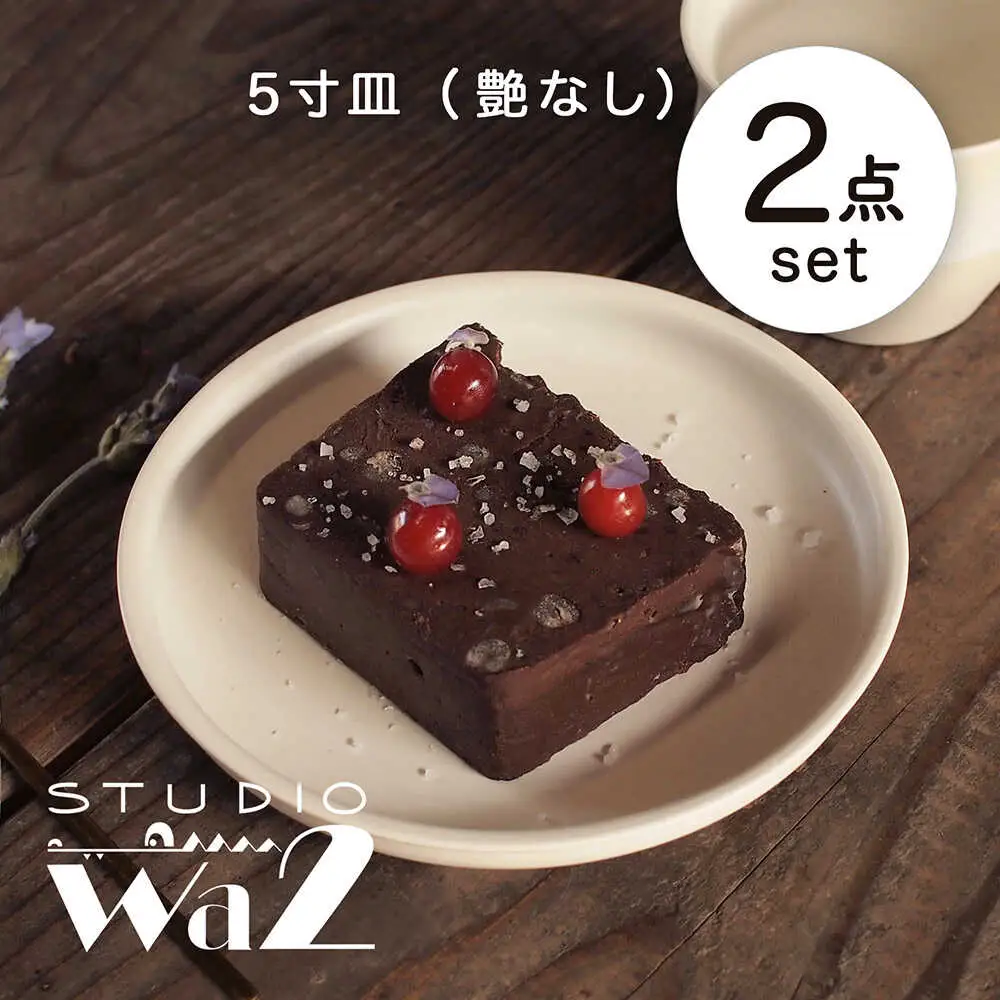 【波佐見焼】KINU 5寸皿 2点セット（艶なし）【studio wani】[MB78]