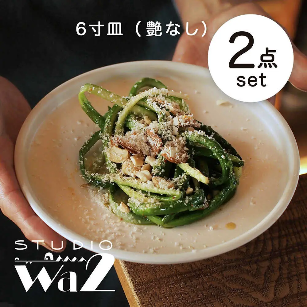 【波佐見焼】KINU 6寸皿 2点セット（艶なし）【studio wani】[MB82]