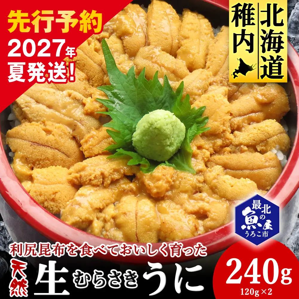 【2027年発送】利尻昆布を食べておいしく育った「生むらさきうに」240ｇ
