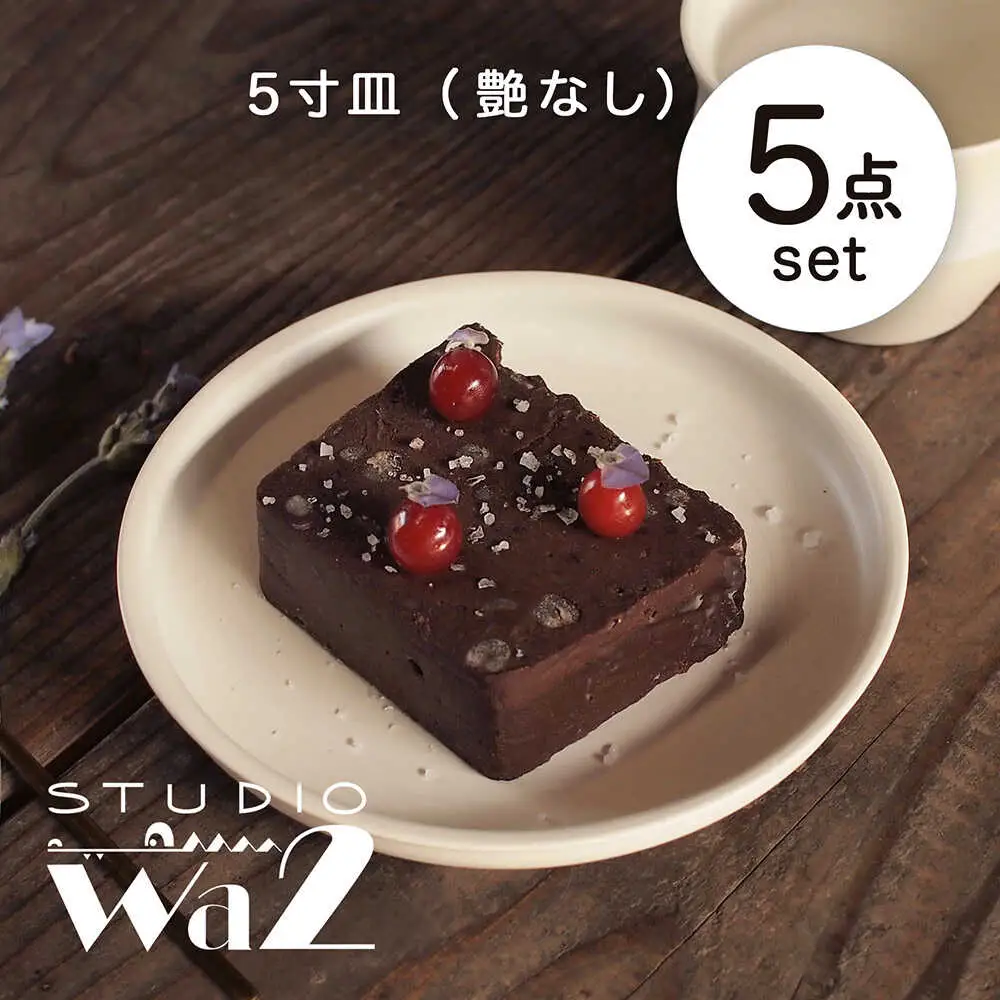 【波佐見焼】KINU 5寸皿 5点セット（艶なし）【studio wani】[MB80]