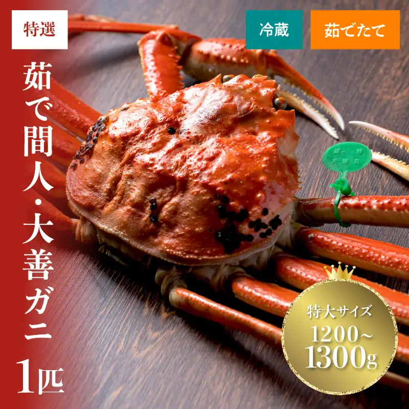 【蟹の匠 魚政】京丹後市産 未冷凍 茹で間人ガニ大善ガニ 特撰 特大サイズ（1200～1300g） 1匹（1月～3月発送） | ズワイガニ カニ 姿