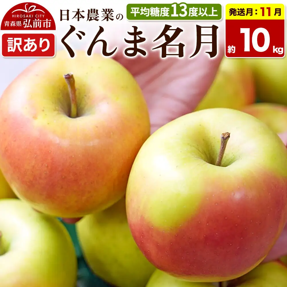 【26年11月発送】りんご ぐんま名月【訳あり】約10kg 平均糖度13度以上 青森県 弘前市 果物 フルーツ 林檎 リンゴ くだもの 不揃い 規格外