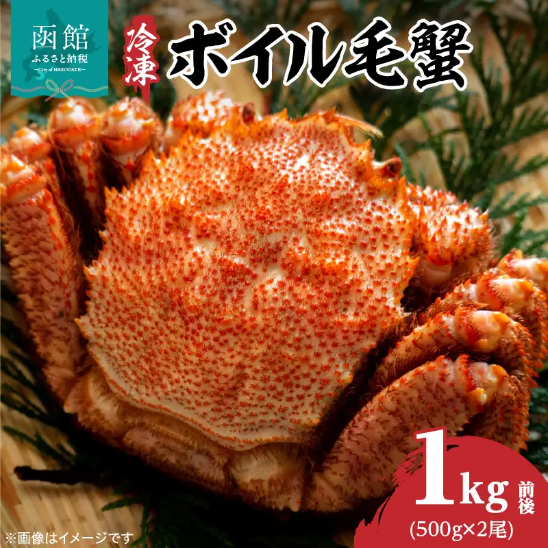 北海道産毛蟹　500g×2尾 瞬間冷凍 カニ 毛蟹 _HD069-030