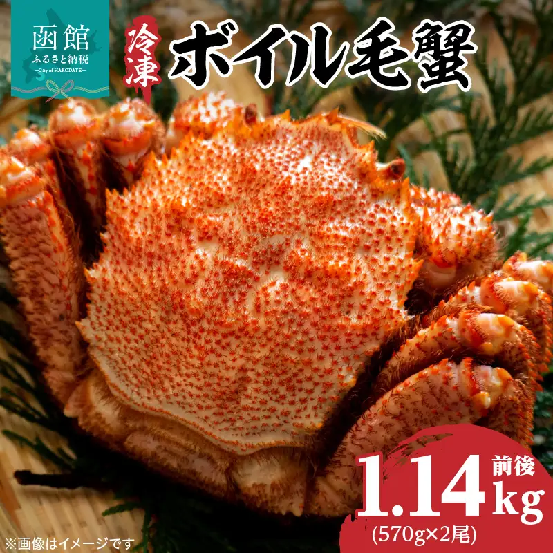 北海道産毛蟹　570g×2尾 瞬間冷凍 カニ 毛蟹 _HD069-032