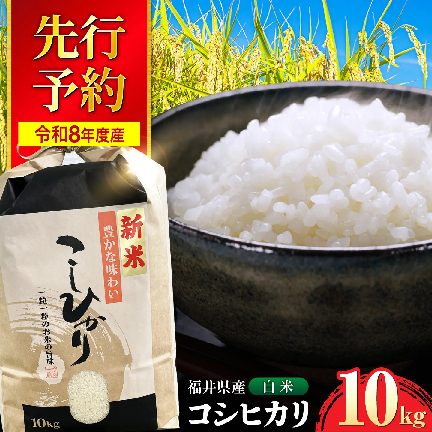 【令和8年産 新米】 【先行予約 /9月中旬以降発送】　福井県産 コシヒカリ 白米 10kg / 米 お米 精米 国産米 / 小浜市 / 北川博司 [BFDG001]
