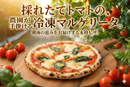 自家製マルゲリータピザ 3枚セット｜ピザ