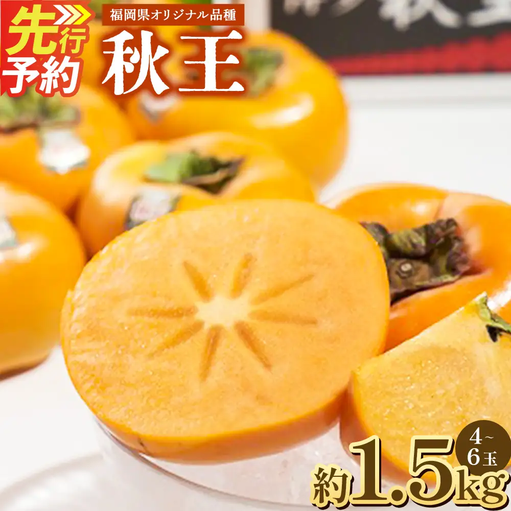 A198 福岡県産 ブランド柿・秋王 約1.5kg（4～6玉） 【2026年10月下旬～11月下旬発送予定】 柿 甘柿 秋王 果物 くだもの フルーツ
