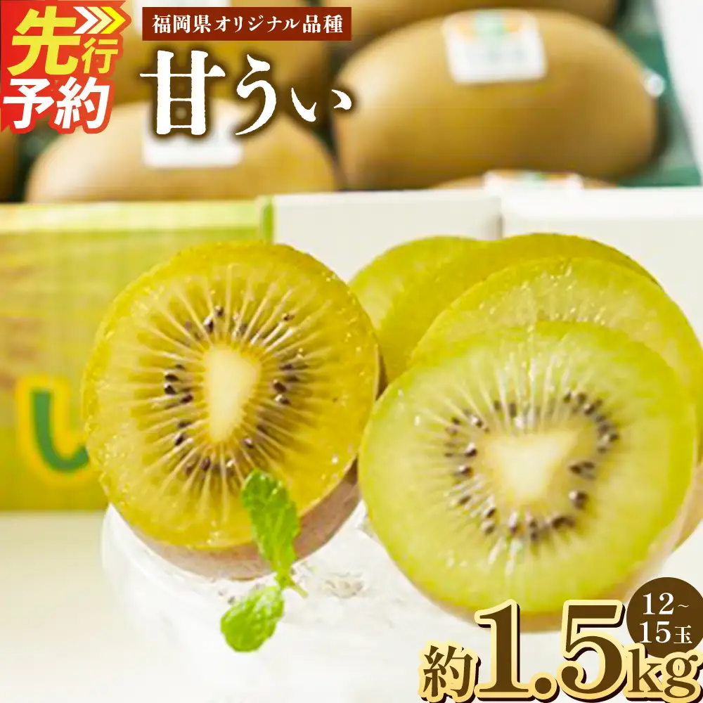 A199 福岡県産 ブランドキウイ・甘うぃ 約1.5kg（12～15玉） 【2026年10月下旬～12月上旬発送予定】 キウイ 果物 くだもの フルーツ