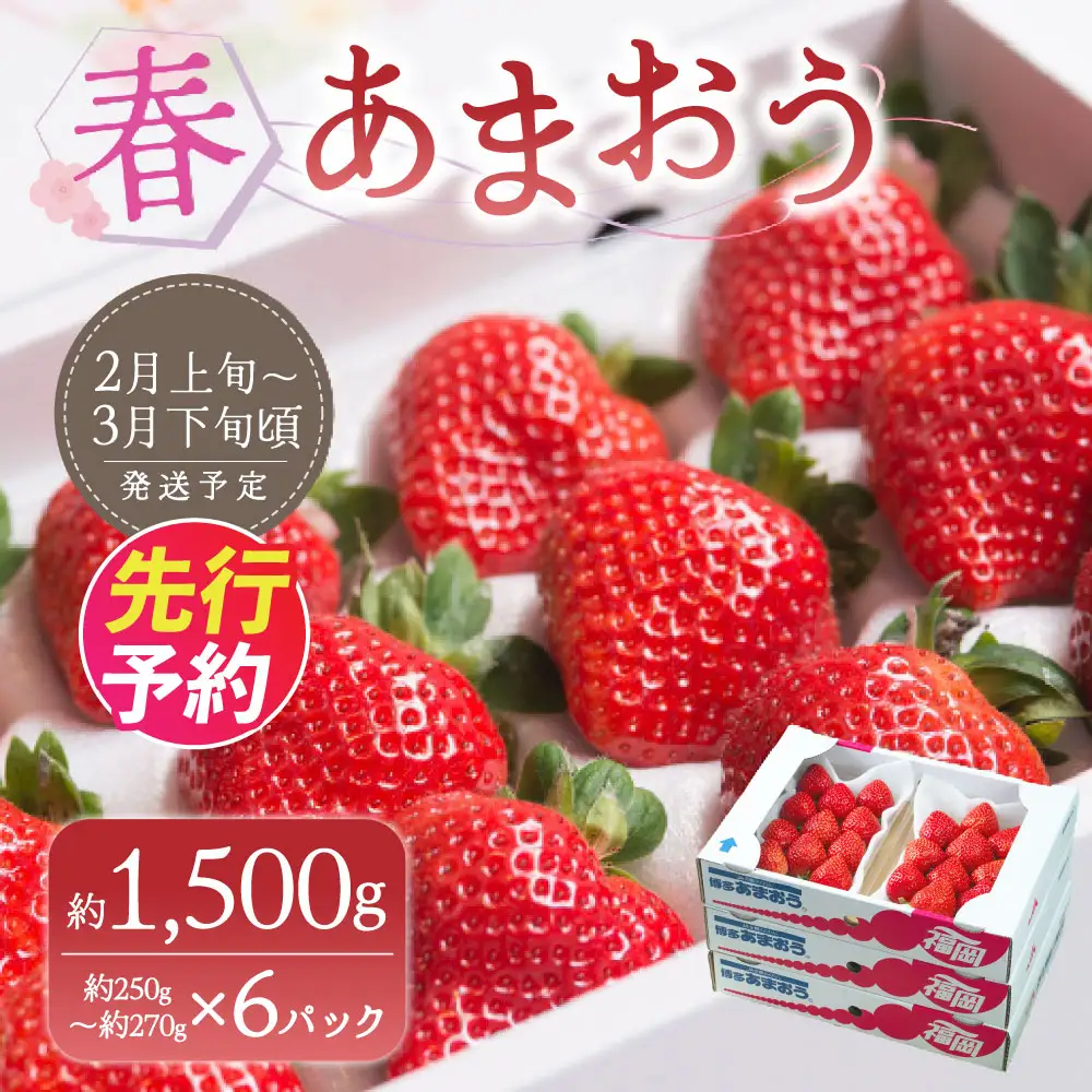 A159 【春】 あまおう 6パック いちご 【2027年2月上旬～3月下旬以降発送予定】