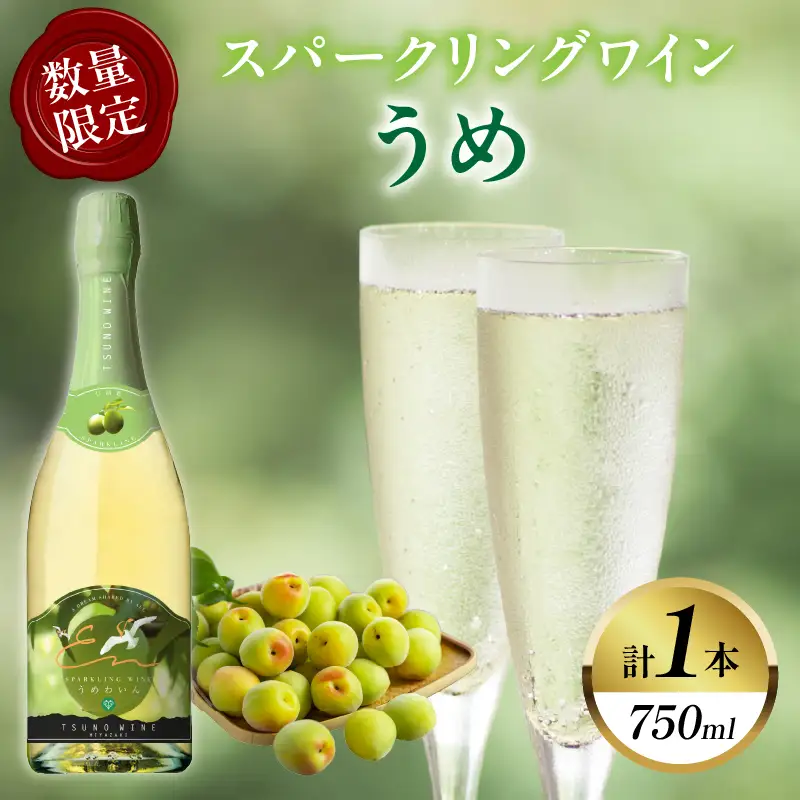 【数量限定】スパークリングワインうめ(計1本) 酒 飲料 アルコール 国産_T014-0305