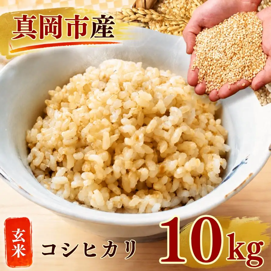 【令和8年産 先行予約】真岡市産 こしひかり 玄米 10kg 