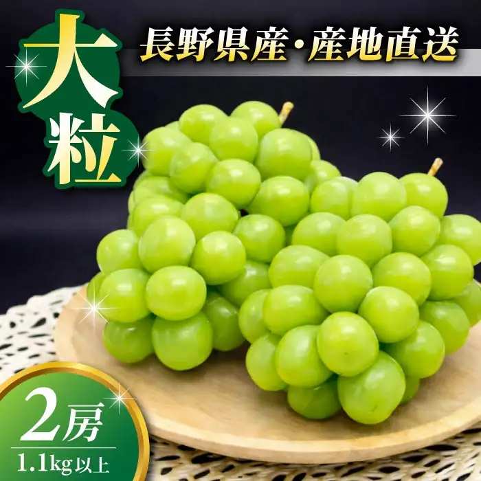 【先行受付2026年発送】東御市産シャインマスカット2房【秋お届け】大粒 高評価 信州