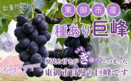 【先行受付2026年発送】東御市産種あり巨峰約2kg（4～6房）　※9月上旬～10月上旬頃お届け予定